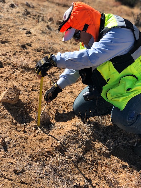 INGMA Ingeniería, gestión y medioambiente